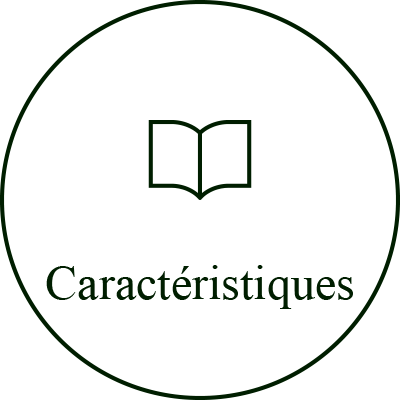 Caractéristiques