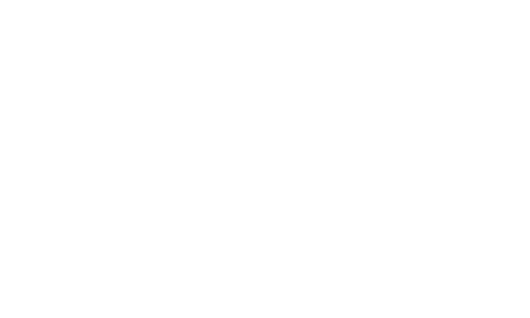 特徴