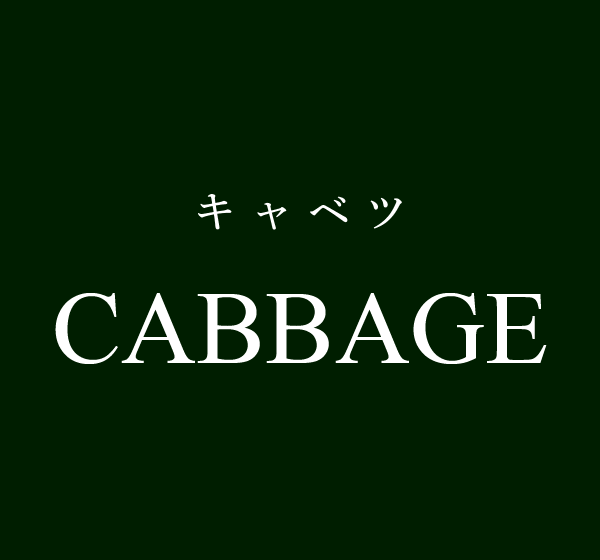 CABBAGE